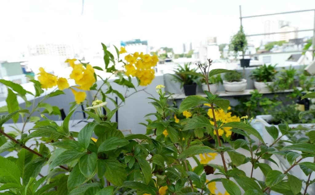 WillHome Hostel - photo 19