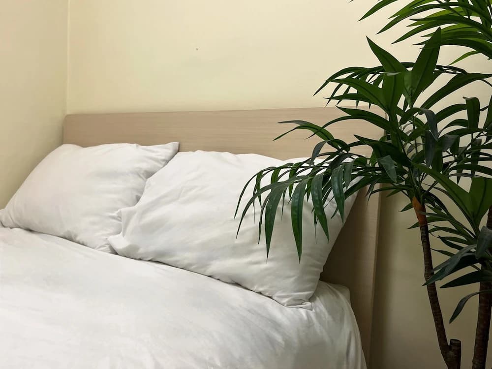 Jnineguesthouse - photo 6
