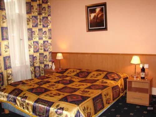 Hotel Aladin - photo 3
