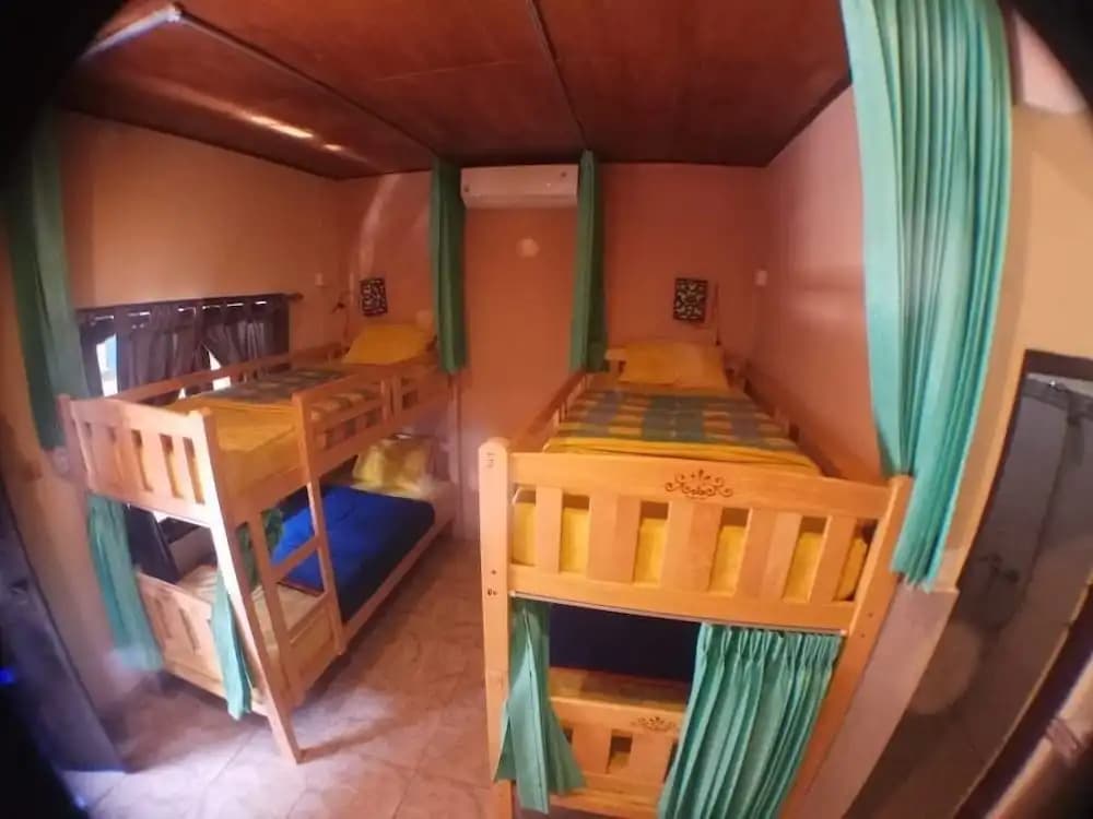 Amel Homestay - photo 5