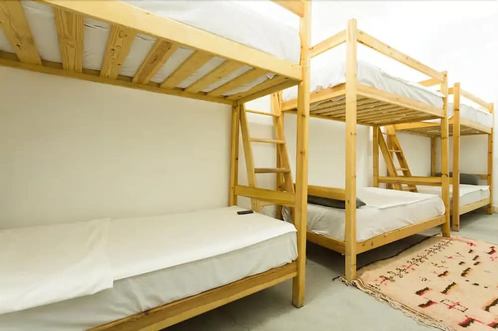Earth Hostel - photo 6