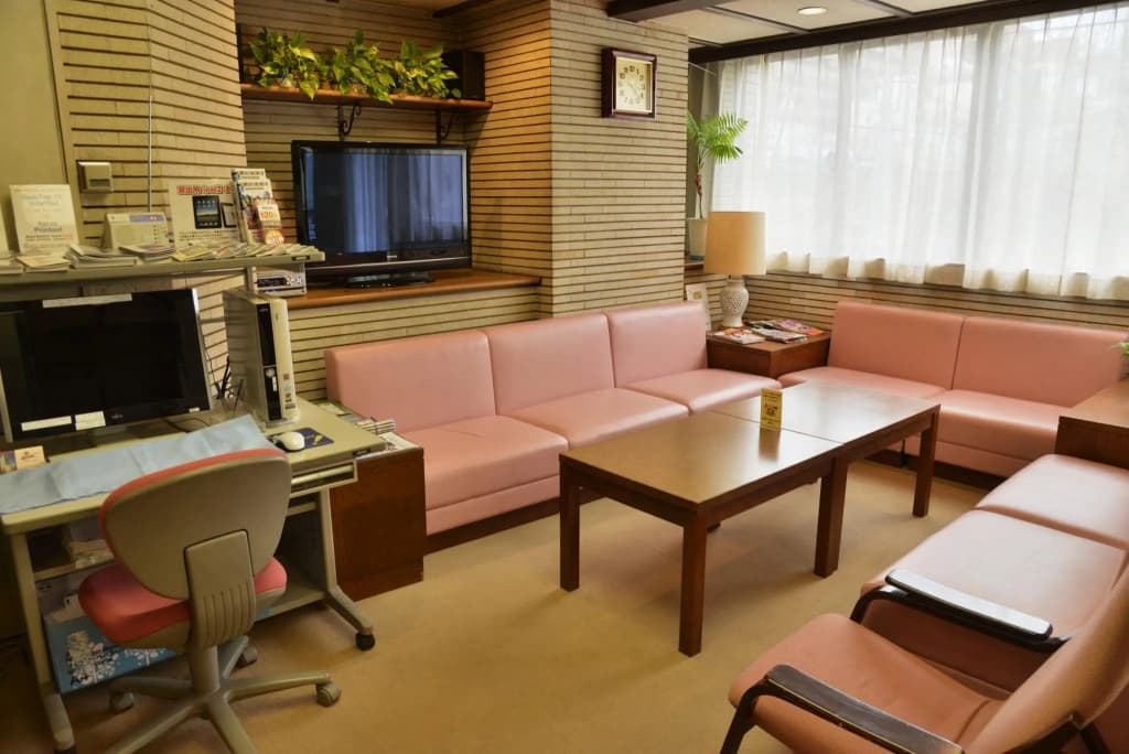 City Pension Zem - photo 4