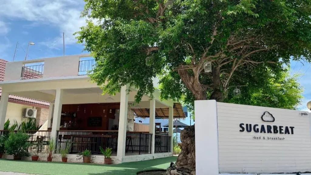Sugar Beat Resort - photo 7