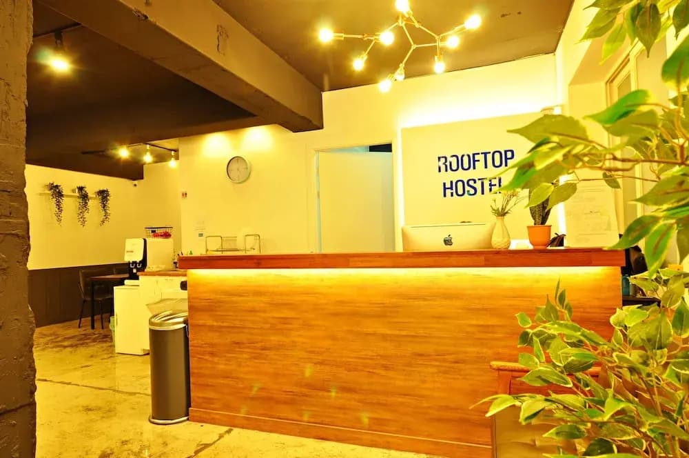Oyo Rooftop Hostel - photo 2