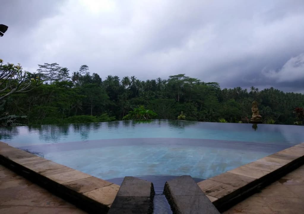 Tirta Asri Ubud Villa - photo 15
