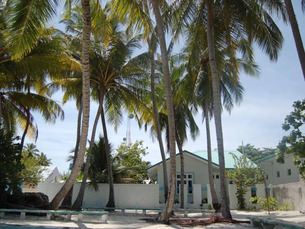 Vaali Maldives Island Escapes & Dive Guest House - photo 22