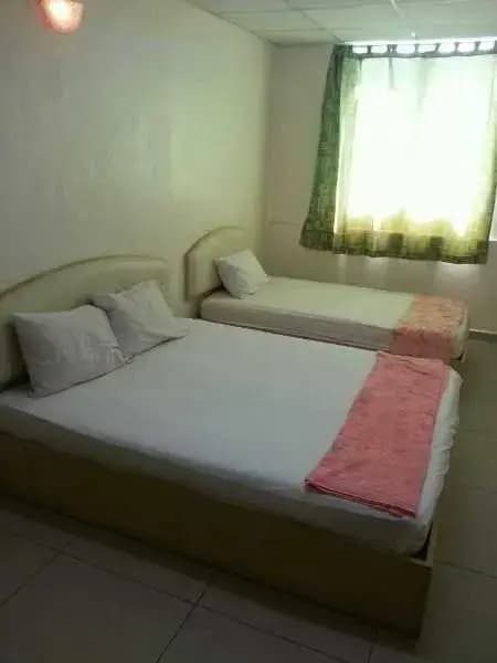 SP Hotel - photo 5