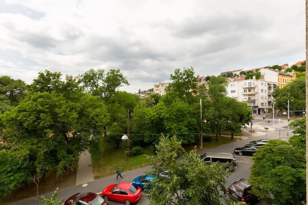Tresure at Buda Castle - photo 11