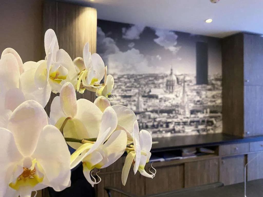 Timhotel Odessa Montparnasse - photo 20