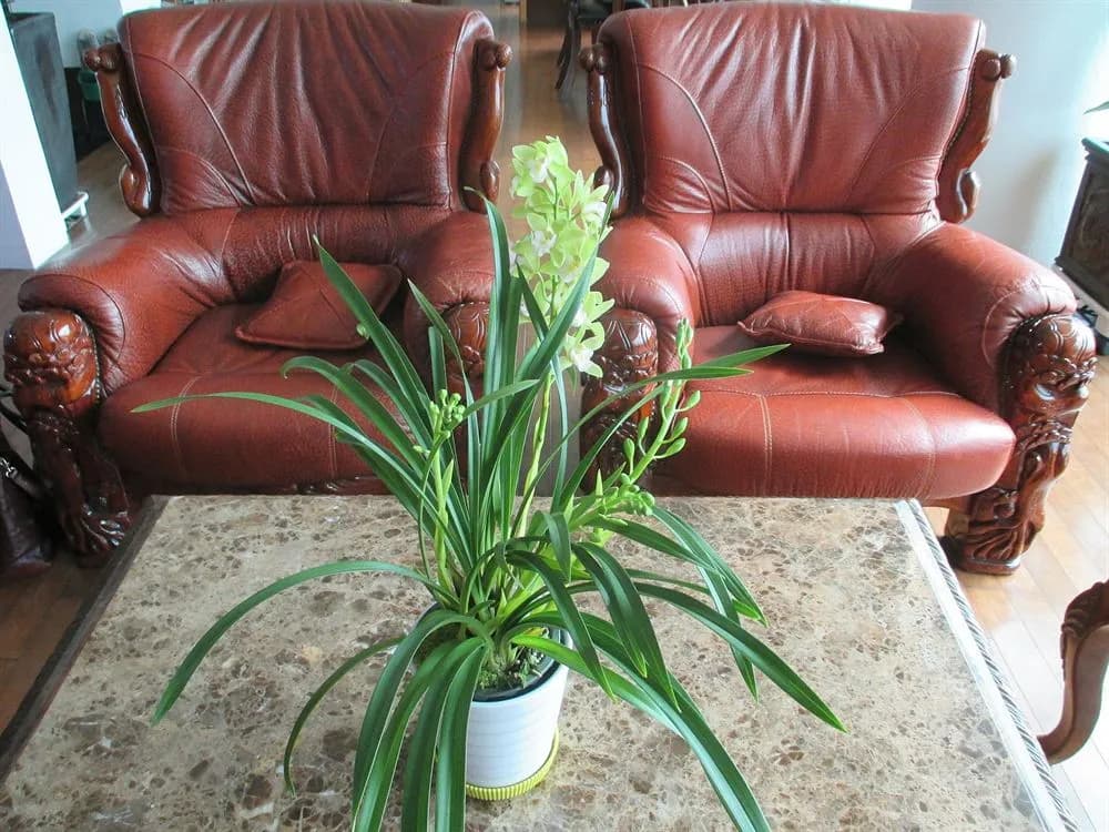 The River View House - photo 14