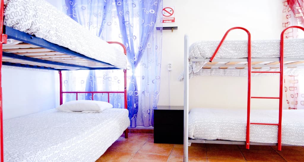 Las Musas Hostel - photo 2