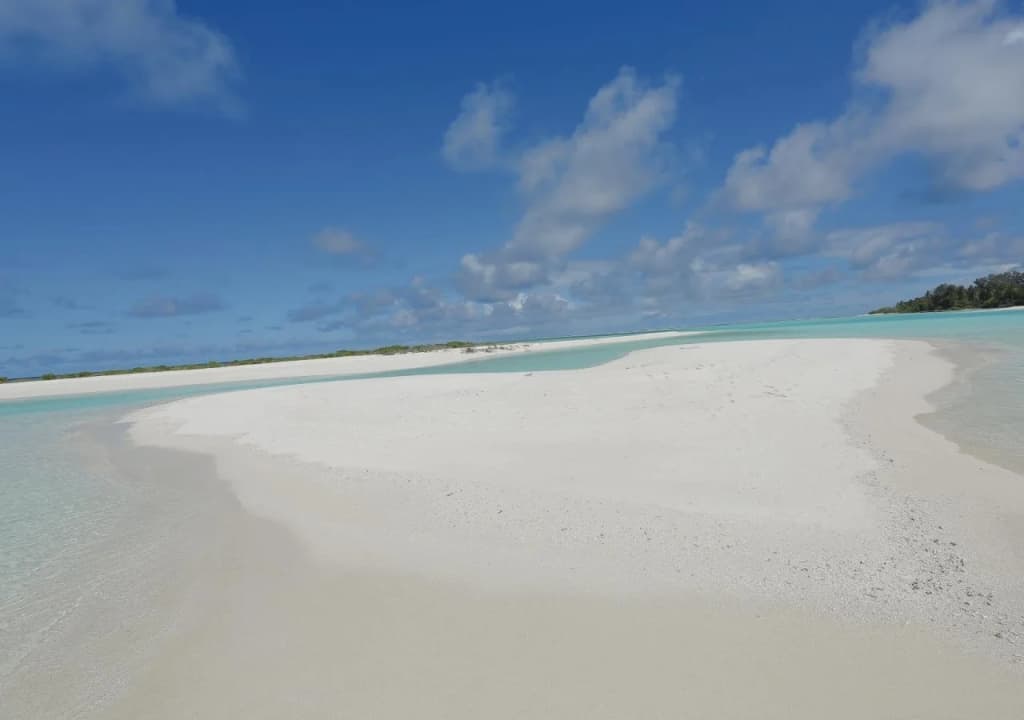 Coral Reef View Inn - photo 6