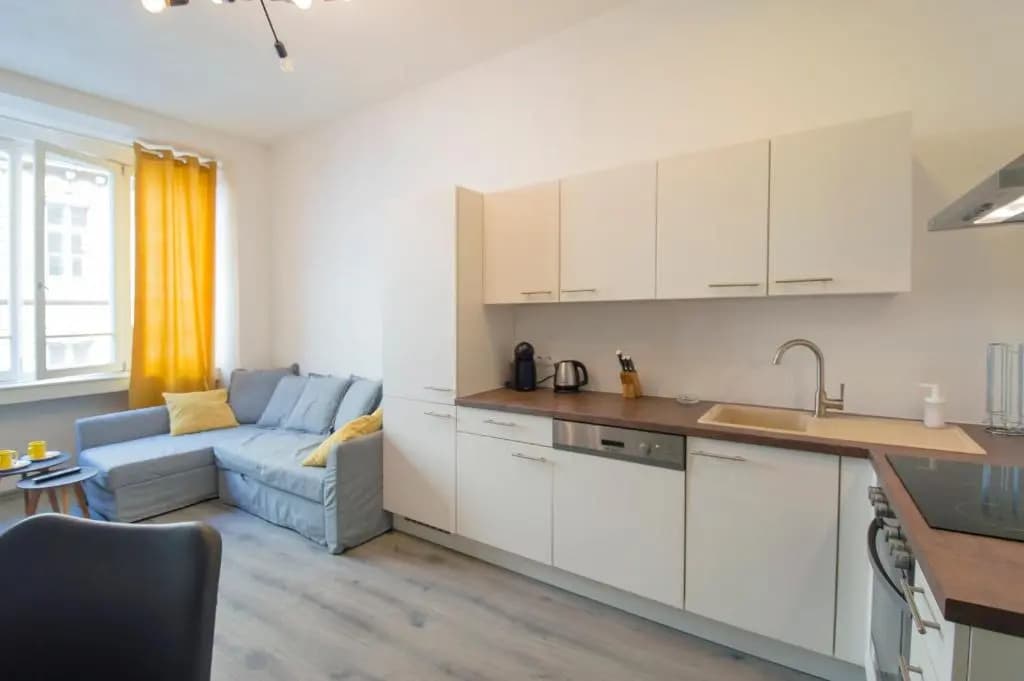Apartment U Pujcovny 6 - main photo