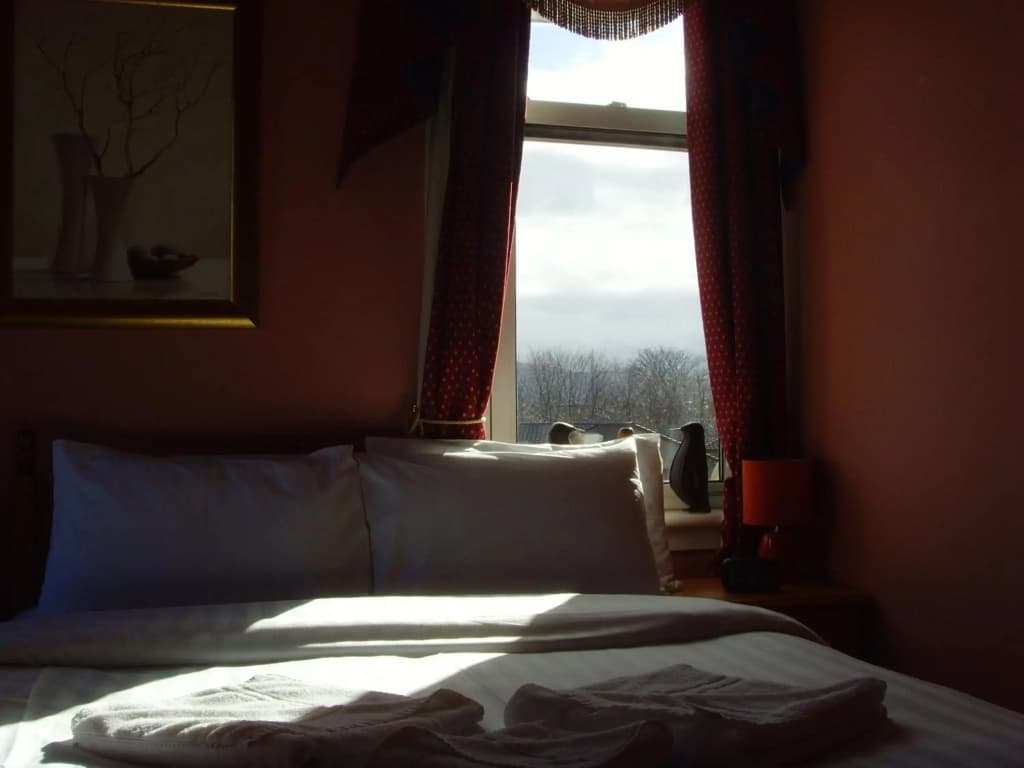 Twin Lions Hotel - photo 11