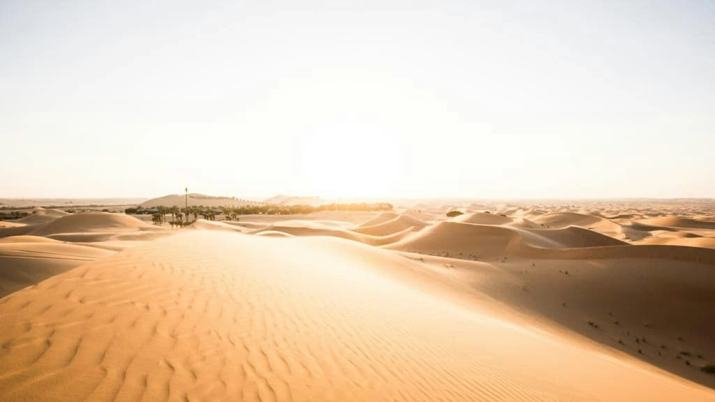 Telal Resort, Al Ain - photo 32
