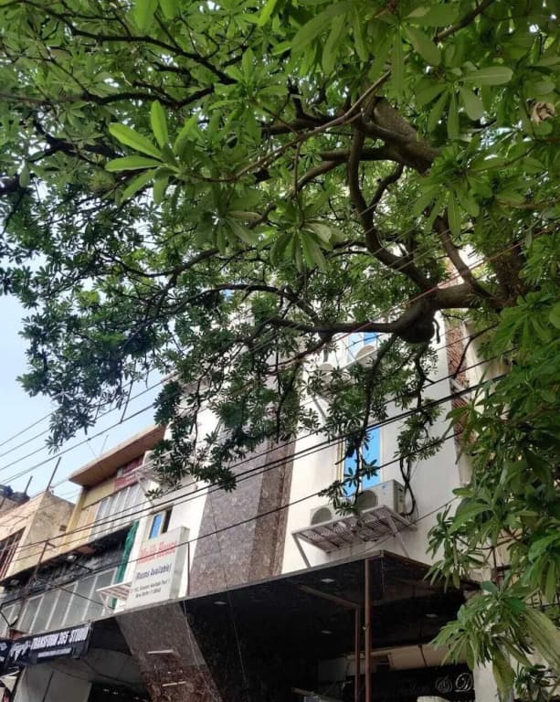 Hotel Green Arrow Rohini - photo 1