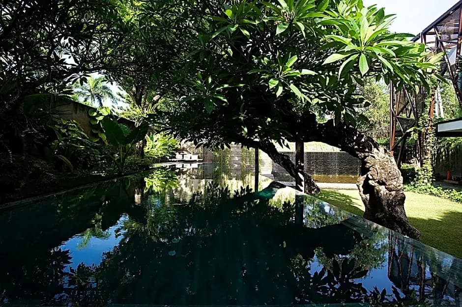 Ziva a Residence - photo 21