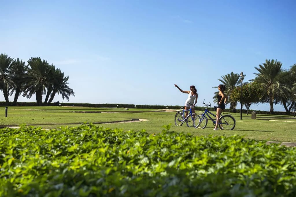 Capital O 232 Golden Tulip Al Jazira Hotel And Resort - photo 34