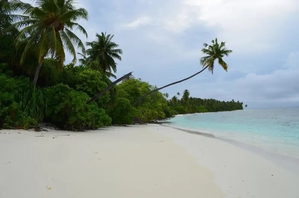 Ocean Breeze - photo 19
