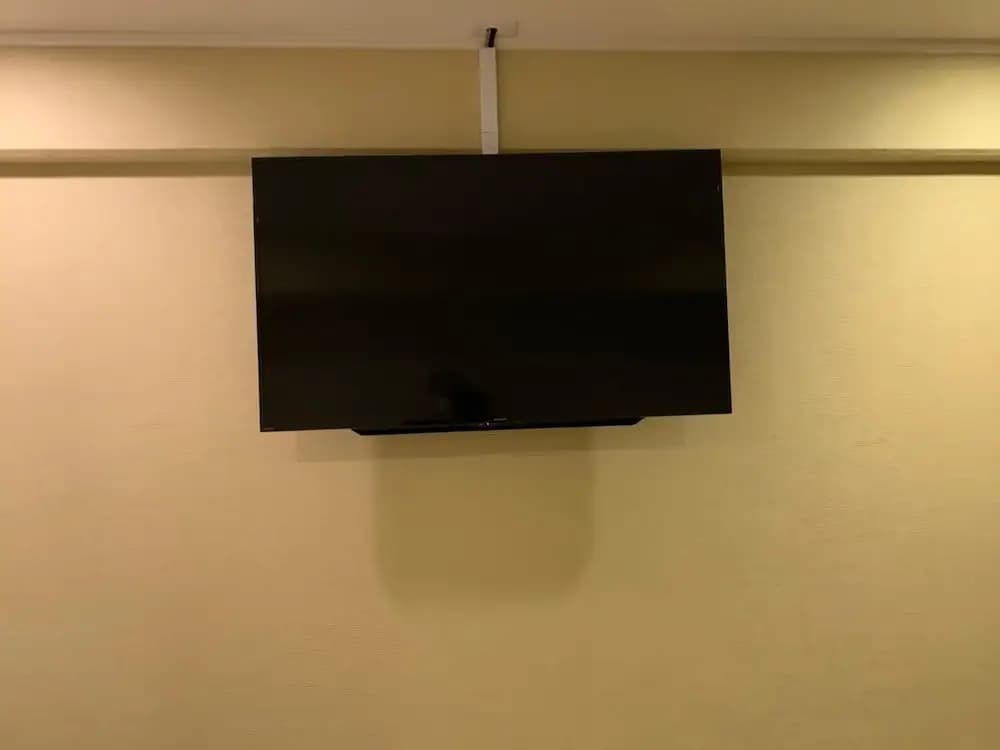 Roppongi Plaza Hotel - photo 11