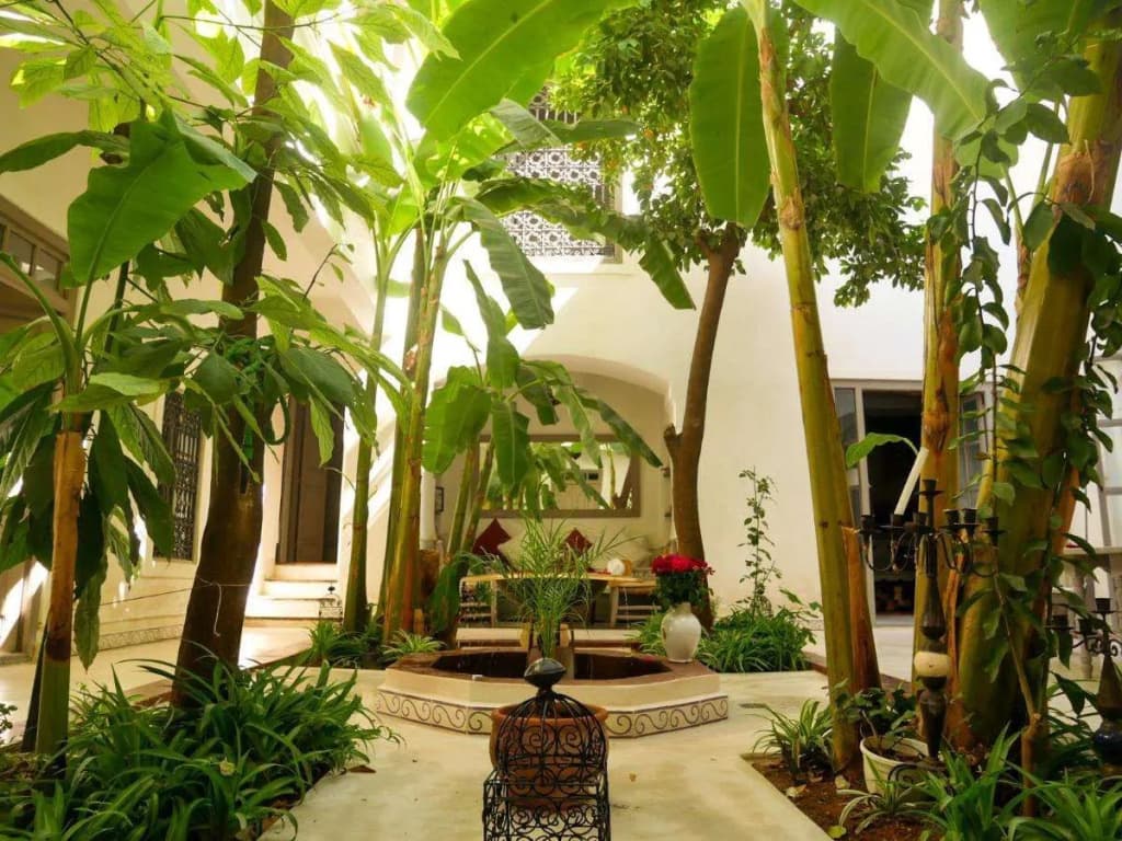 Riad Dar Aman - photo 9