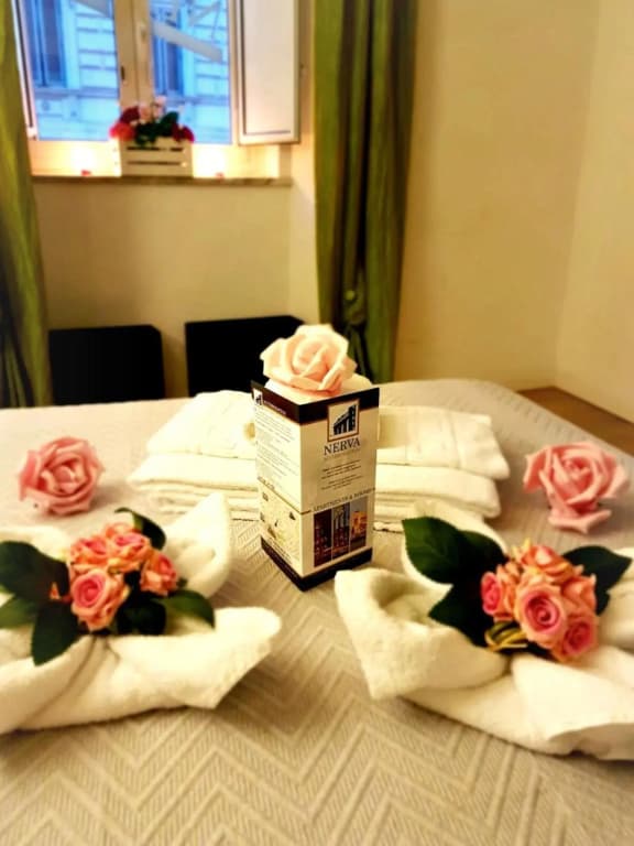 Nerva Accommodation - photo 46