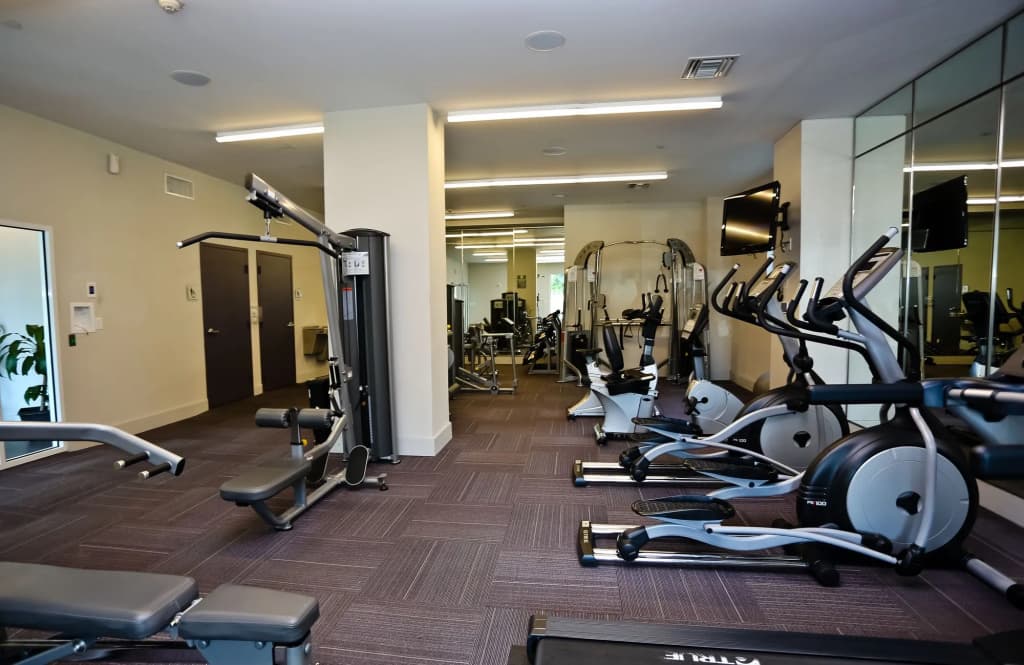 Nuovo Properties at Brickell 1st - photo 18
