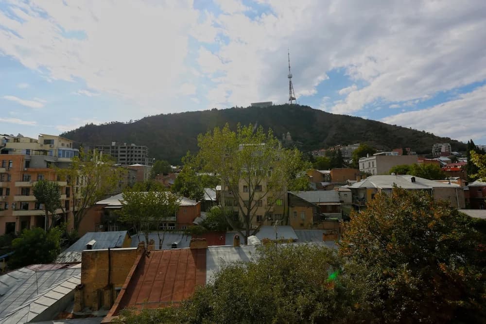 Tbilisi Core - Virgo - photo 14
