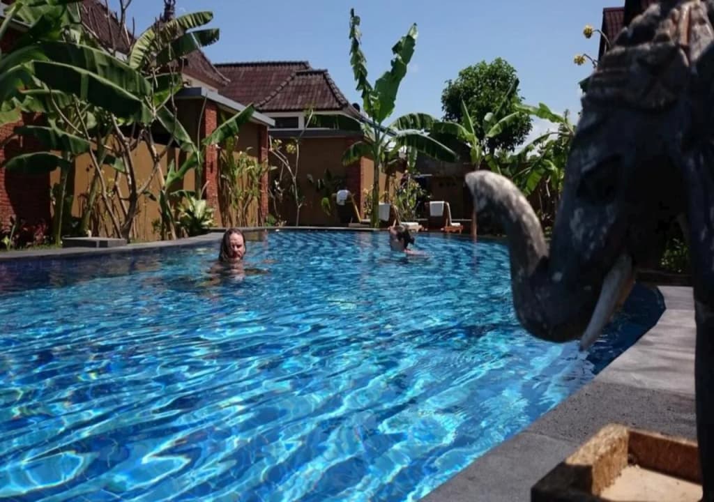 The Janan Villa - photo 15