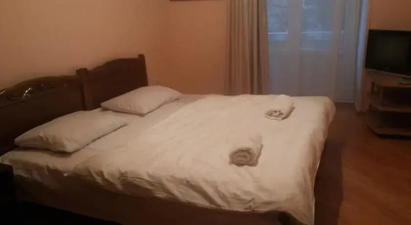 Guesthouse Niaghvari - photo 8