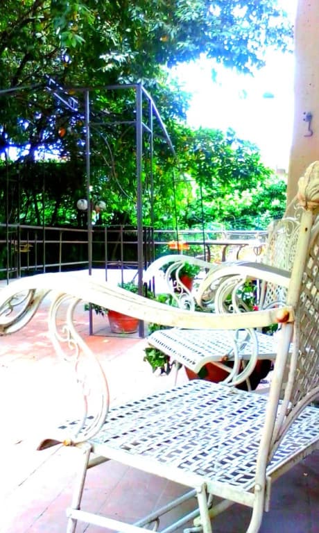 Alamanni - photo 11