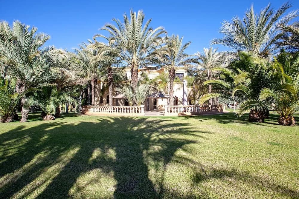 Villa des Lions - photo 10