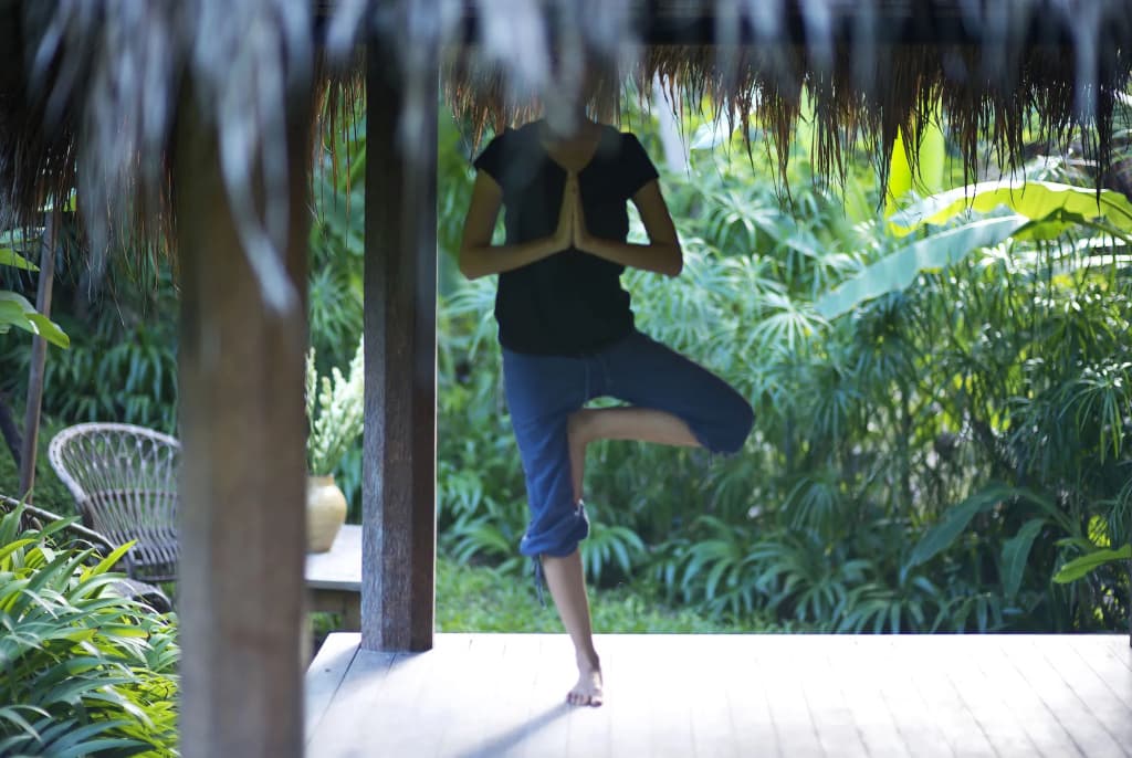 Planta Luxury Boutique Resort - photo 22