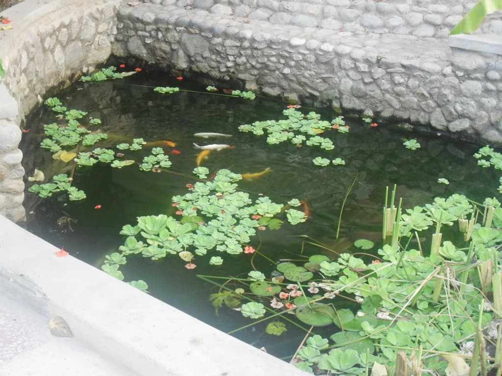 Garden Roomz Oman - photo 10