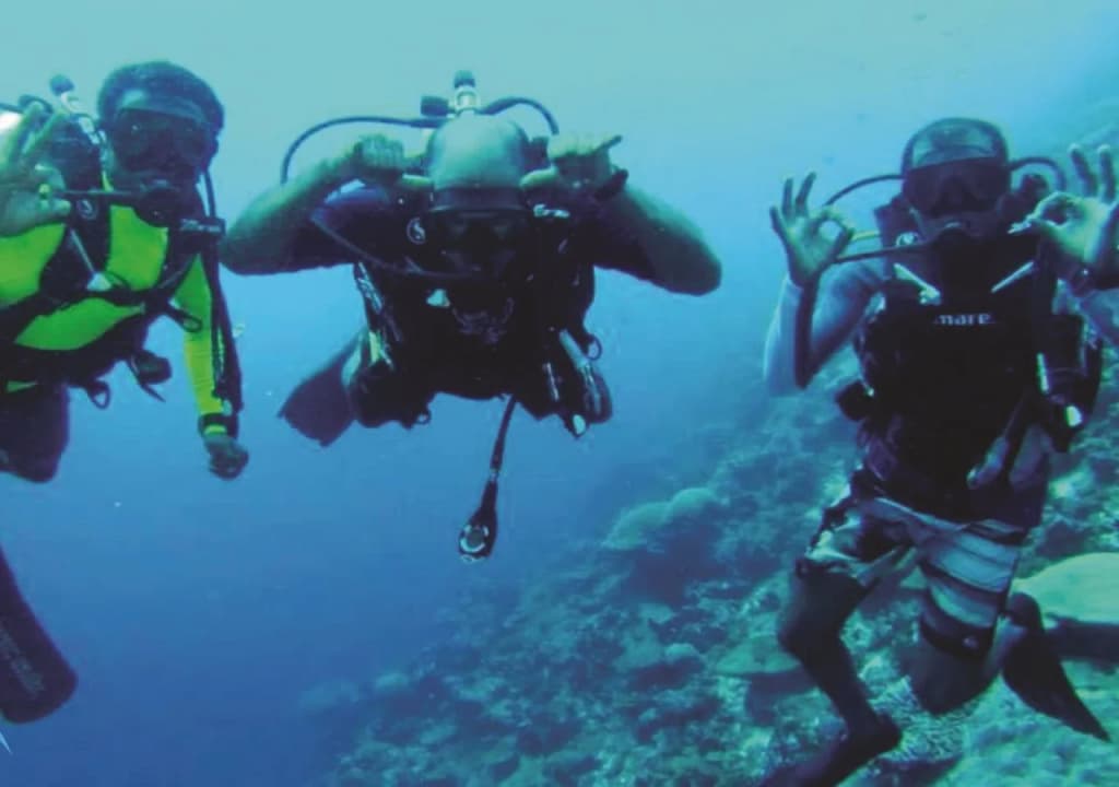 Viluxer Veyli & Diving - photo 11