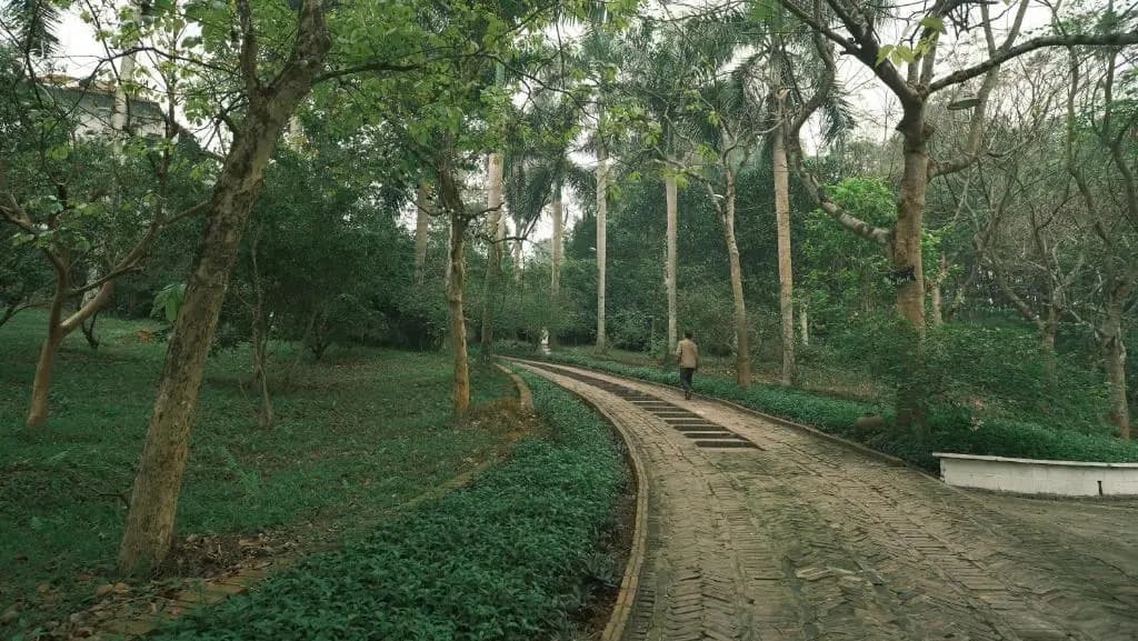 Yen Bai Resort - photo 5