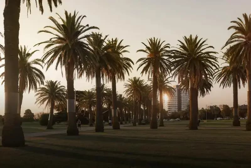 MAC St Kilda by Melbourne Apartment Collection - photo 10