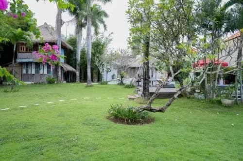 卡利斯别墅酒店(Villa Kalis) - photo 30