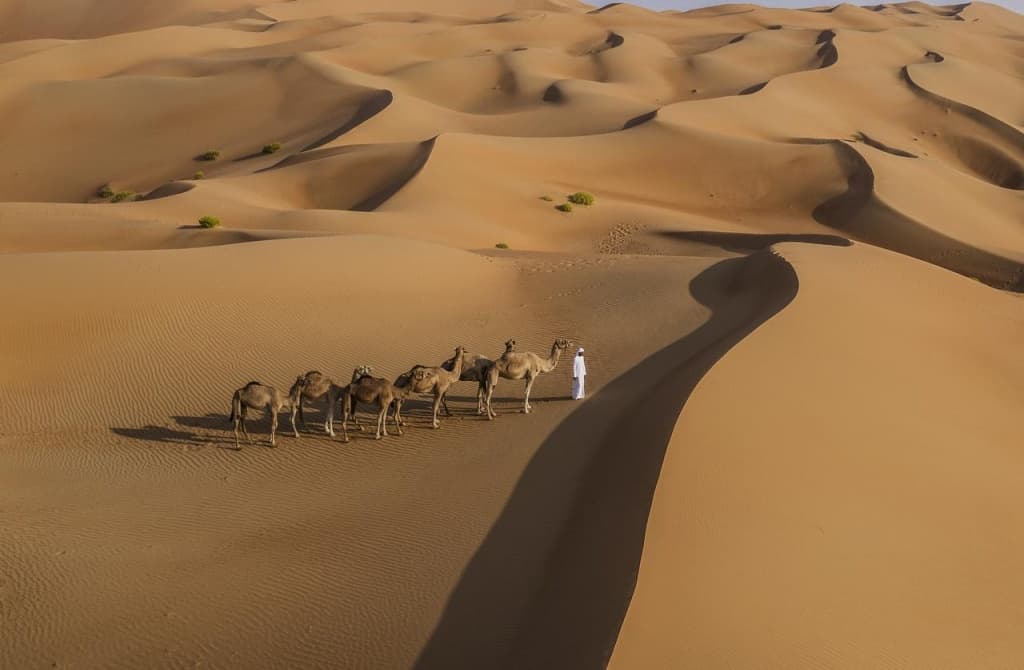 Qasr Al Sarab Desert Resort by Anantara - photo 24