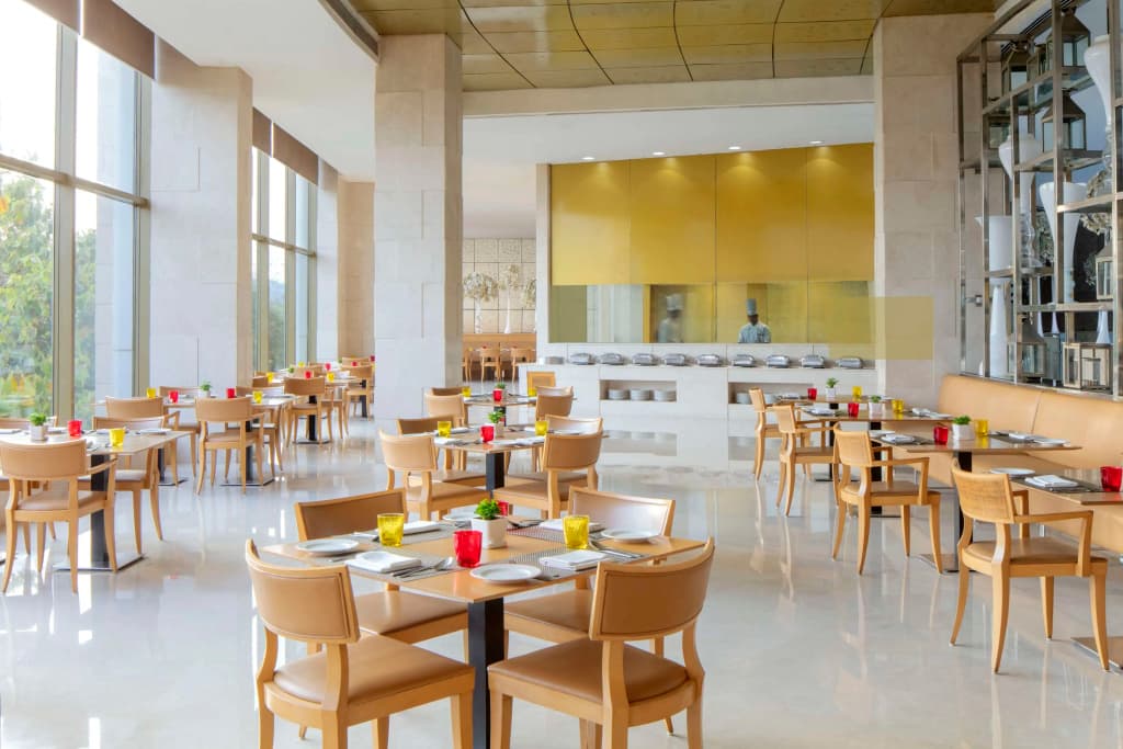 Radisson Blu Hotel New Delhi Dwarka - photo 19