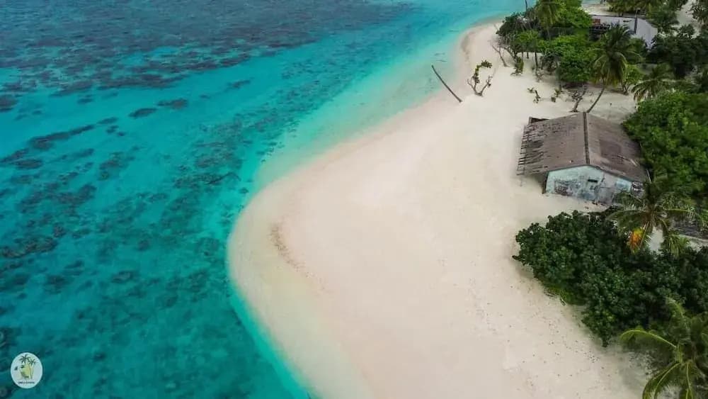 Shifa Lodge Maldives - photo 26