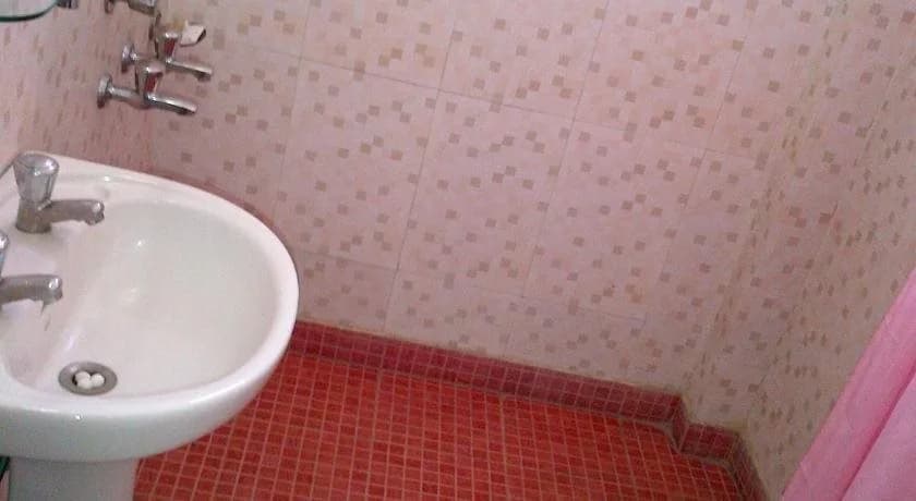 Hotel Malik Continental - photo 8