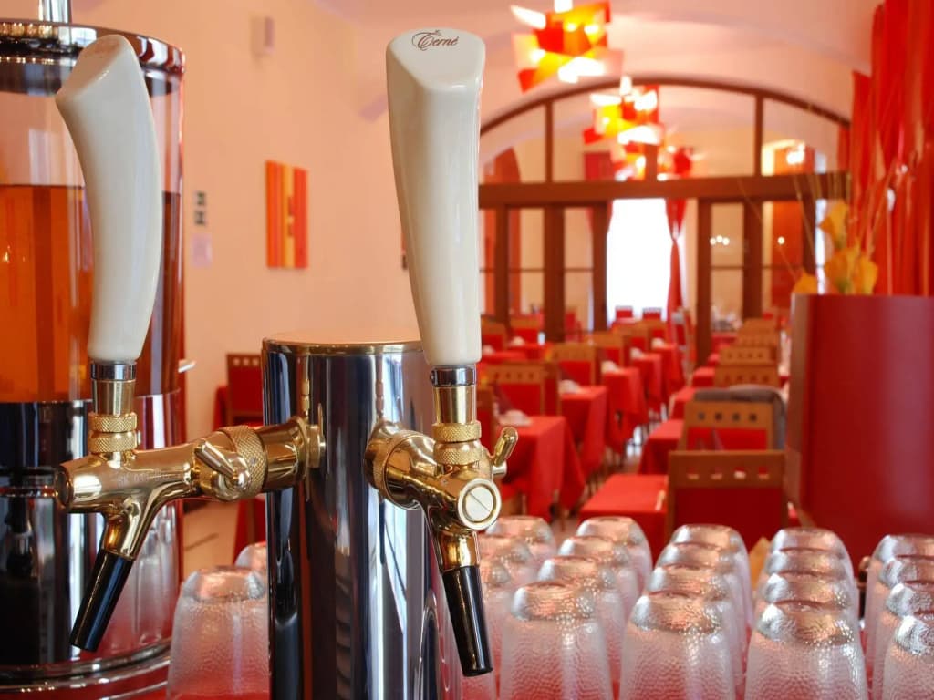 EA Hotel Sonata - photo 27