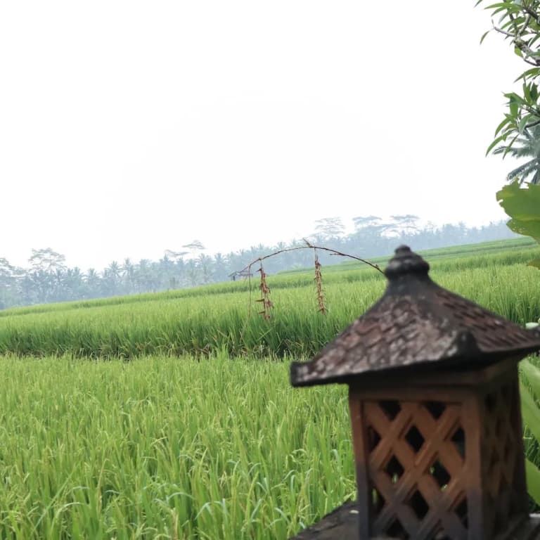 Royal JJ Ubud Resort & Spa - photo 42