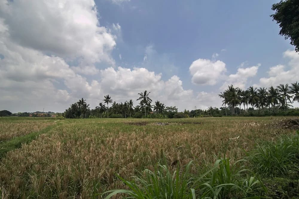 MariJo Villa - photo 18
