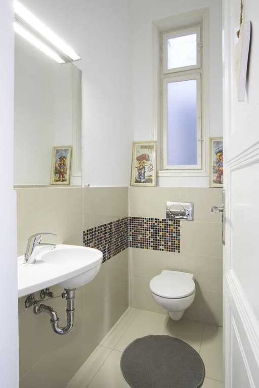 Large Central Apartment Fehérhajó - photo 20