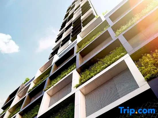 Mega Style Apartments The International - photo 16