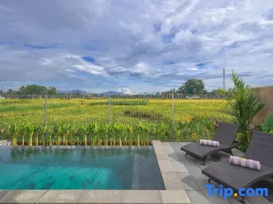 Pondok Raka Ubud - photo 1