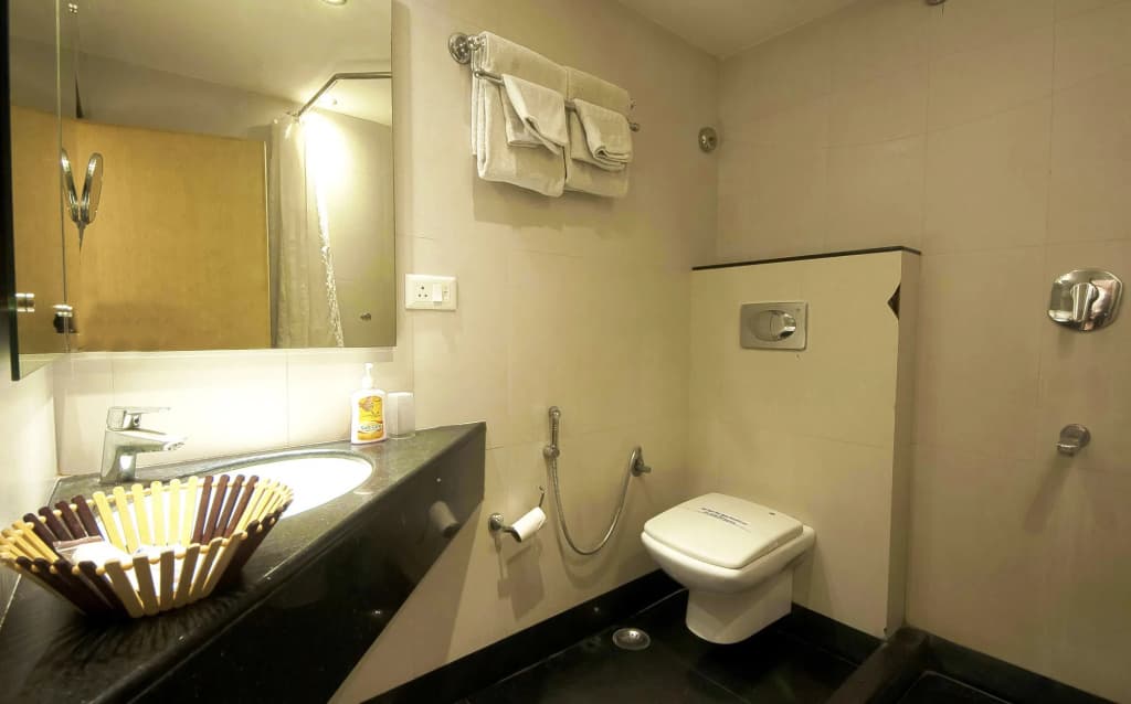 Mayur Hotel - photo 9