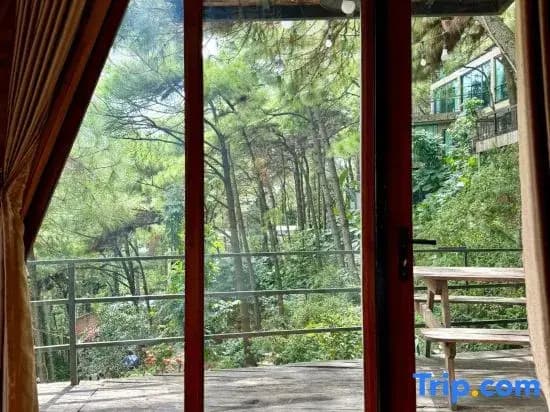 DeBay Retreat - Little Da Lat Chill Villa - photo 1